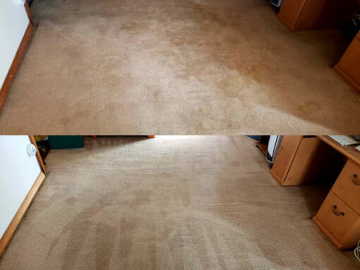 Carpet Cleaning Services in Passaic County NJ